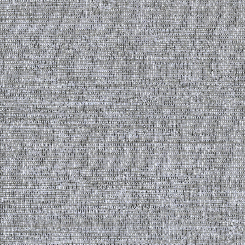 Grasscloth, Raincloud