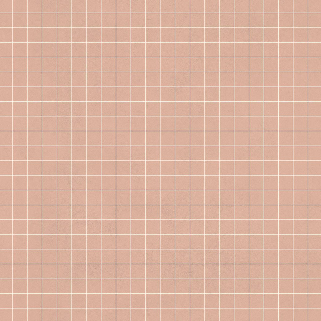 Notebook Nude, Sample Vinyl