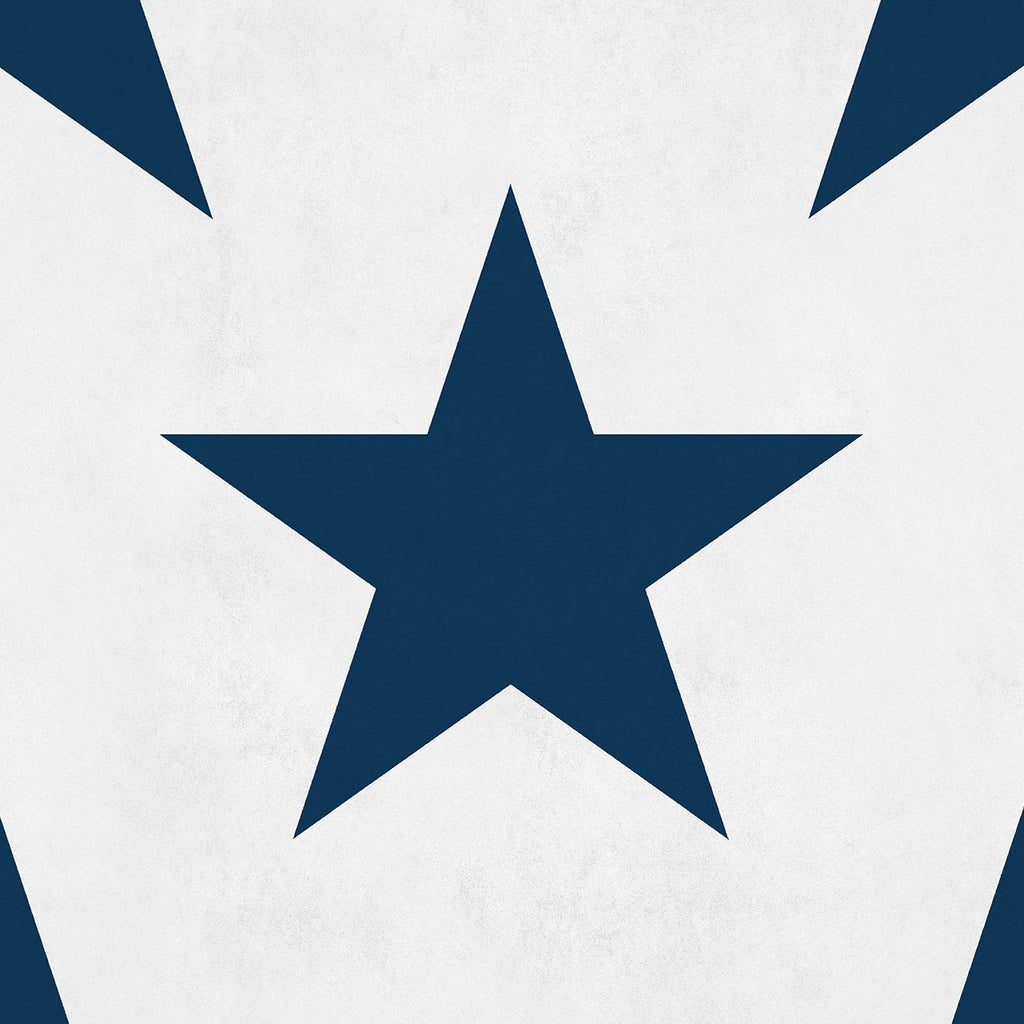 Hollywood Navy, Sample Vinyl