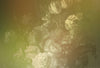 Walls By Patel 2 Yellow Wallcovering | AS Creation