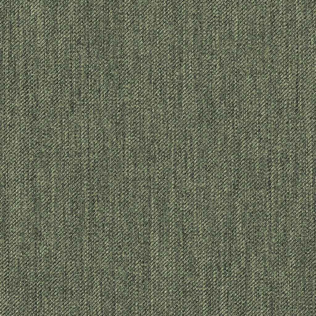 Dovetail, Olive