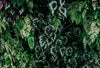 Walls By Patel 3 Green Wallcovering | AS Creation