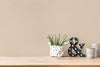 Styleguide Nature 2027 Beige Wallcovering | AS Creation