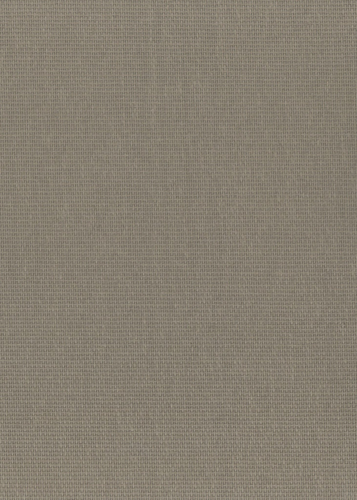 Rowayton-Fungi Paper Weave Wallcovering | Phillipe Romano — PWV-500310