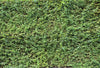 Ap Digital 3 Green Wallcovering | AS Creation