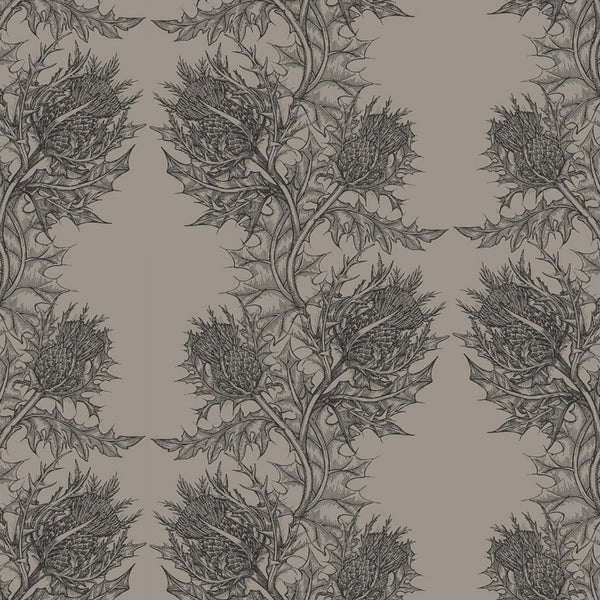 Thistle Slate on Grey | Timorous Beasties Wallcovering