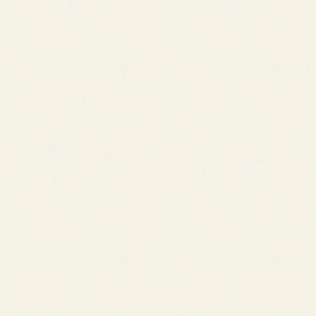 Ap Longlife Colours Cream Wallcovering | AS Creation