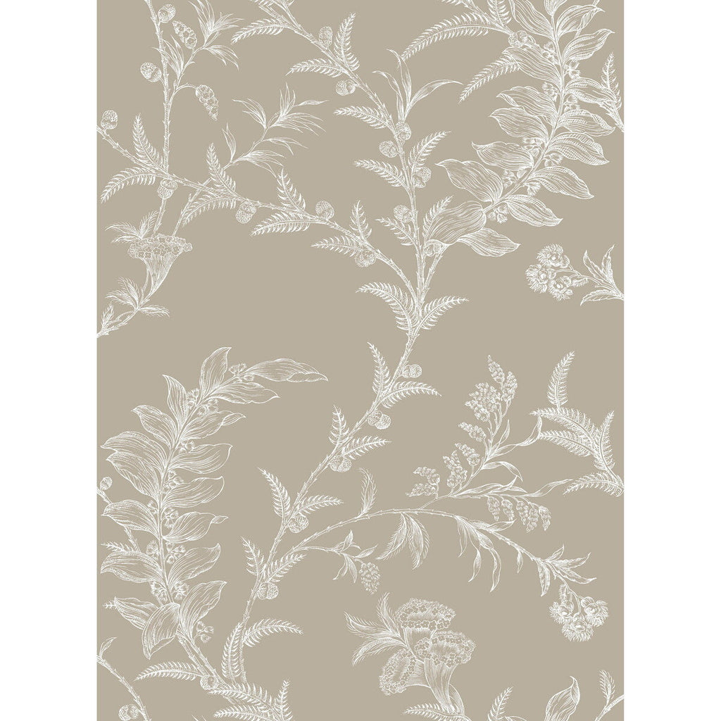 Ludlow - Taupe Brown By Cole & Son |  |Botanical & Floral  Wallcovering Print