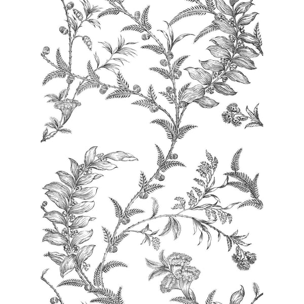 Ludlow - Ecru Beige | Cole & Son