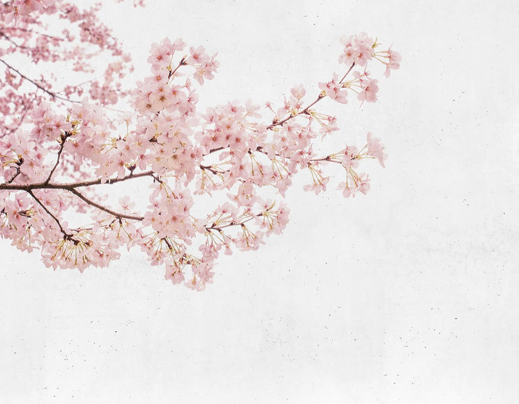 Subtle Branches