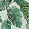 Carioca 9200001, Sample Vinyl