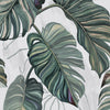 Carioca 9200003, Sample Vinyl