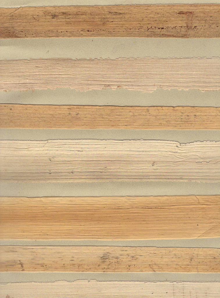 Montecito-Mimosa Arrowroot Wallcovering | Phillipe Romano — ARWR-500010