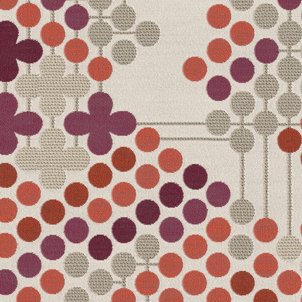 Circulate, Cochineal