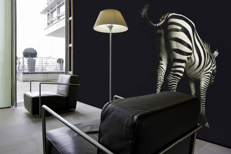 Ap Digital Black Wallcovering | AS Creation