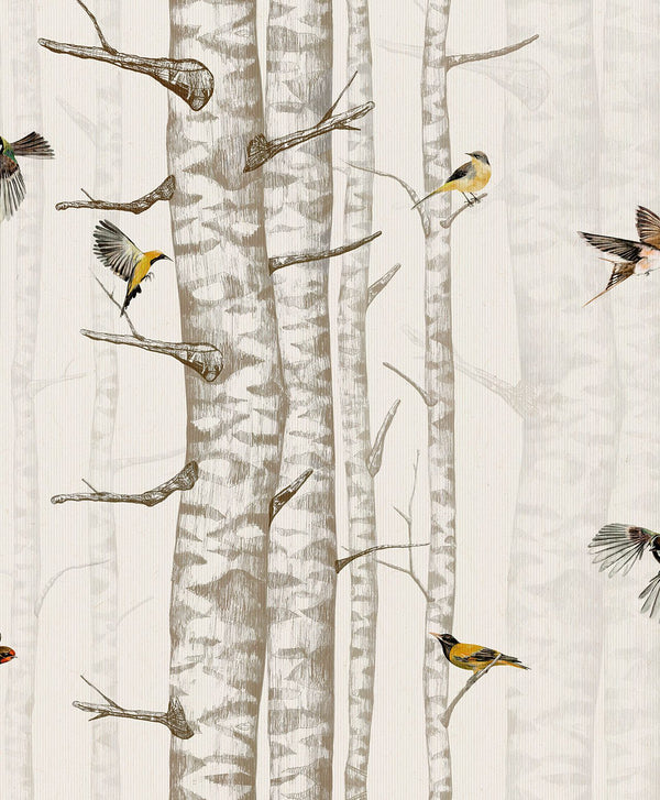 Birch Trees Beige, Roll Vinyl Wallcoverings | Coordonné