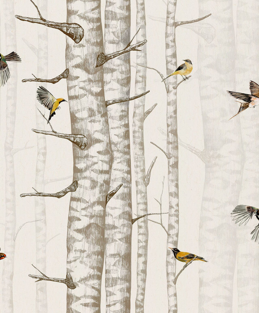 Birch Trees Beige, Roll Vinyl