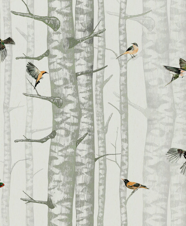 Birch Trees Olive, Roll Vinyl Wallcoverings | Coordonné
