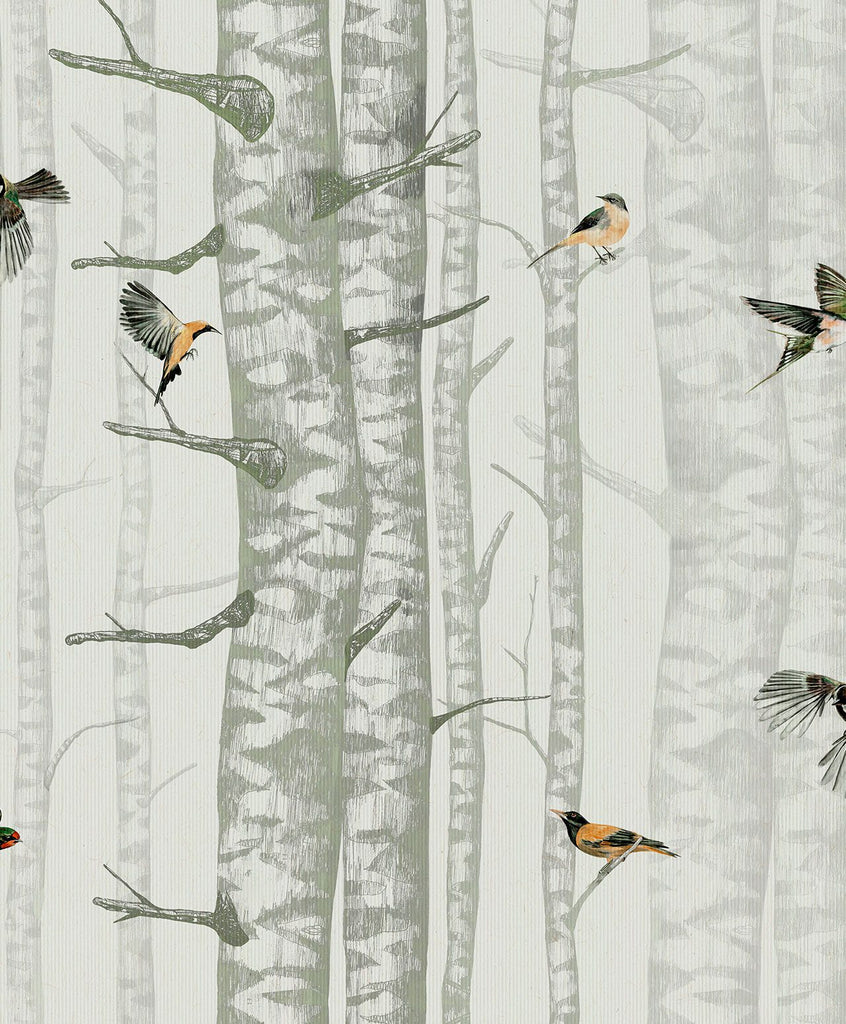 Birch Trees Olive, Roll Vinyl