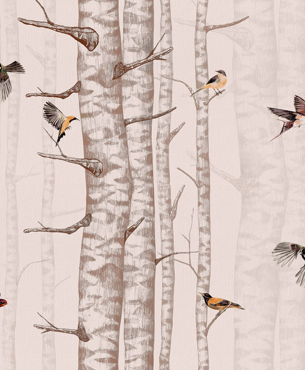 Birch Trees Pink, Roll Vinyl Wallcoverings | Coordonné