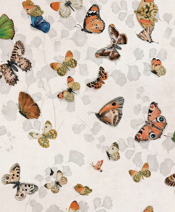 Magic Butterflies Off-White, Roll Vinyl Wallcoverings | Coordonné