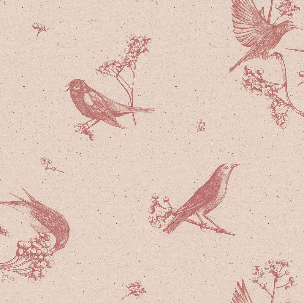 Sweet Birds Pink, Roll Vinyl