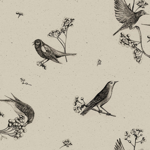Sweet Birds Black, Roll Vinyl Wallcoverings | Coordonné