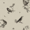 Sweet Birds Black, Roll Vinyl