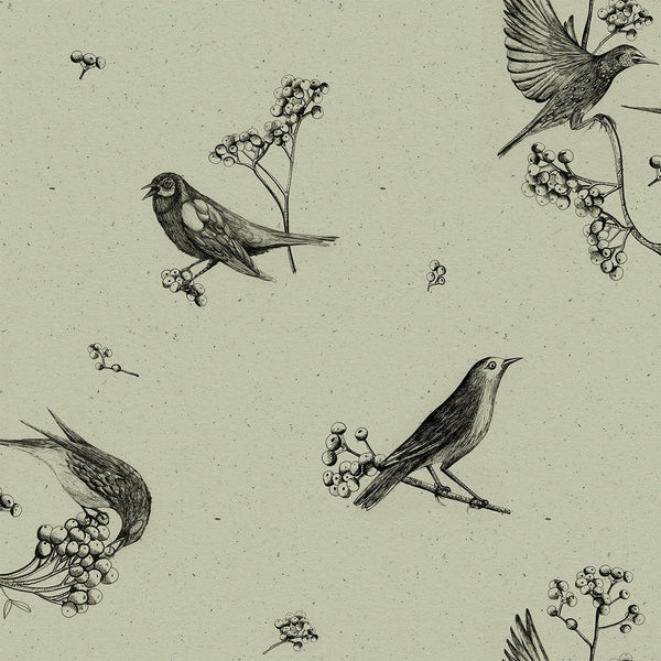 Sweet Birds Green, Roll Vinyl Wallcoverings | Coordonné
