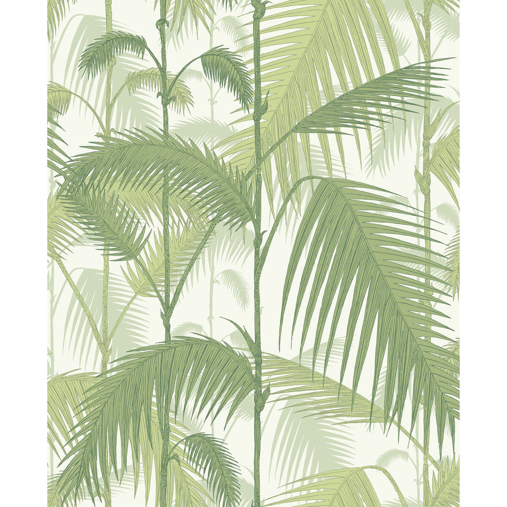 Palm Jungle - Olive Gre/White Green By Cole & Son | Cole & Son Contemporary Restyled |Botanical & Floral  Wallcovering