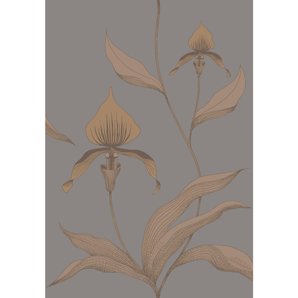Orchid - Bronze/Slate Brown By Cole & Son | Cole & Son Contemporary Restyled |Botanical & Floral  Wallcovering