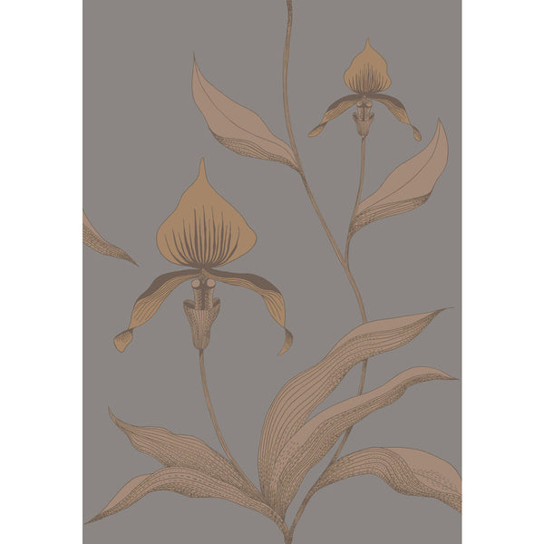 Orchid - Bronze/Slate Brown By Cole & Son | Cole & Son Contemporary Restyled |Botanical & Floral  Wallcovering