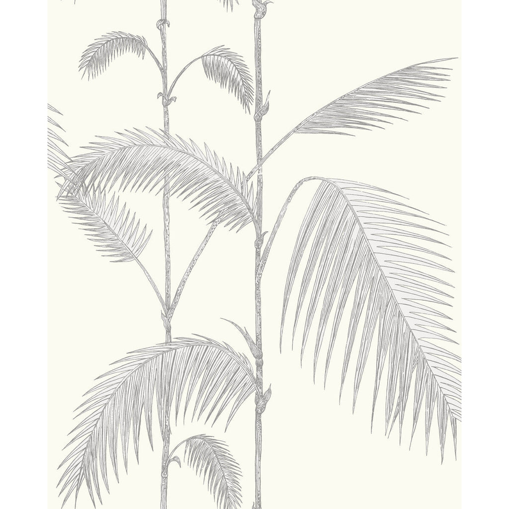 Palm Leaves - Grey/White Grey By Cole & Son | Cole & Son Contemporary Restyled |Botanical & Floral  Wallcovering