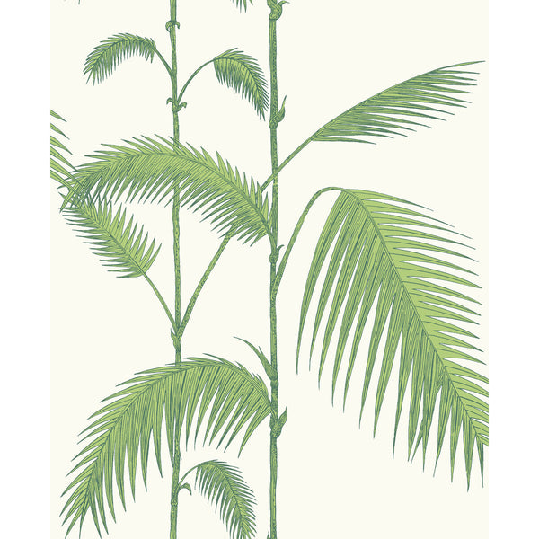 Palm Leaves - Green/White Green By Cole & Son | Cole & Son Contemporary Restyled |Botanical & Floral  Wallcovering