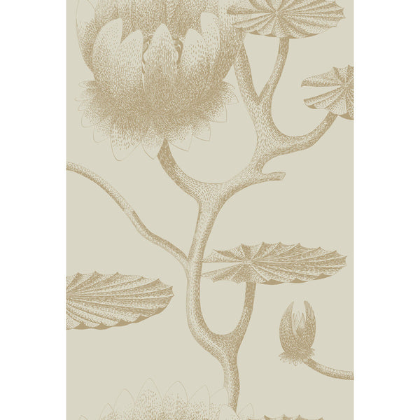 Lily - Linen/Gold Beige By Cole & Son | Cole & Son Contemporary Restyled |Botanical & Floral  Wallcovering
