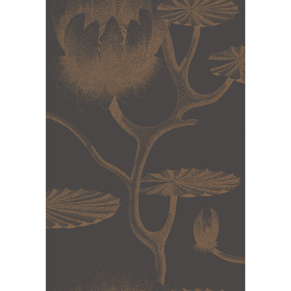 Lily - Black/Bronze Brown By Cole & Son | Cole & Son Contemporary Restyled |Botanical & Floral  Wallcovering