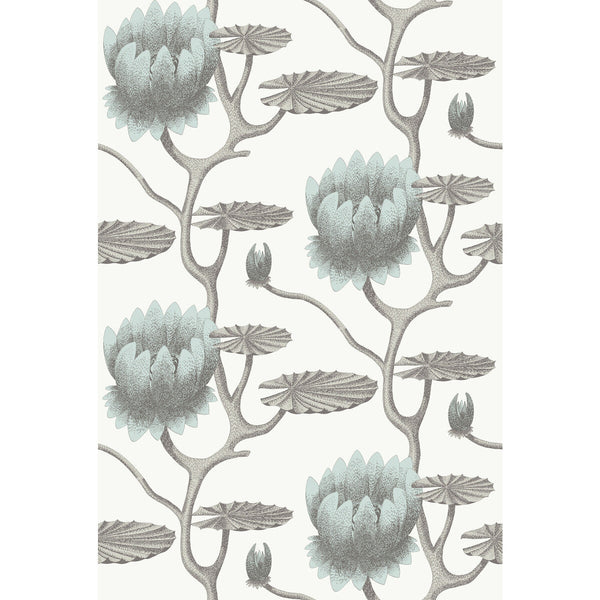 Summer Lily - Aqua/White Light Blue By Cole & Son | Cole & Son Contemporary Restyled |Botanical & Floral  Wallcovering