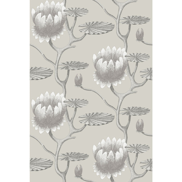 Summer Lily - Taupe/White Beige By Cole & Son | Cole & Son Contemporary Restyled |Botanical & Floral  Wallcovering