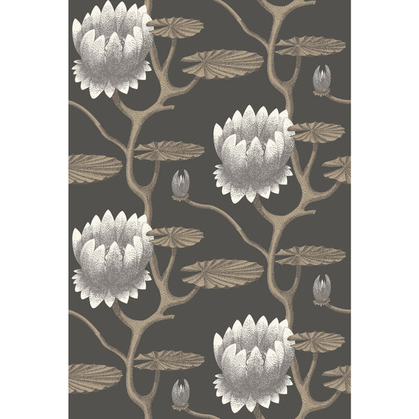 Summer Lily - Blk/Wht/Gold Black By Cole & Son | Cole & Son Contemporary Restyled |Botanical & Floral  Wallcovering