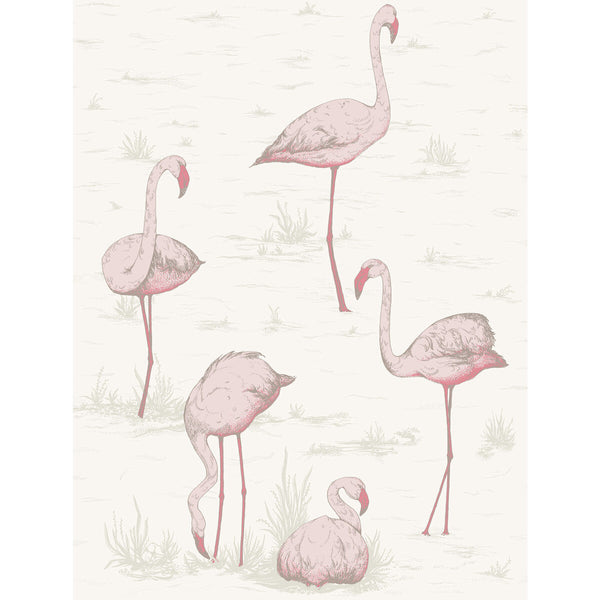 Flamingos - Pink/White Pink By Cole & Son | Cole & Son Contemporary Restyled | Novelty Wallcovering Print