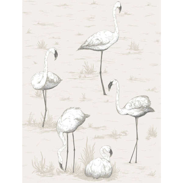Flamingos - Charcoal/Wht Grey | Cole & Son