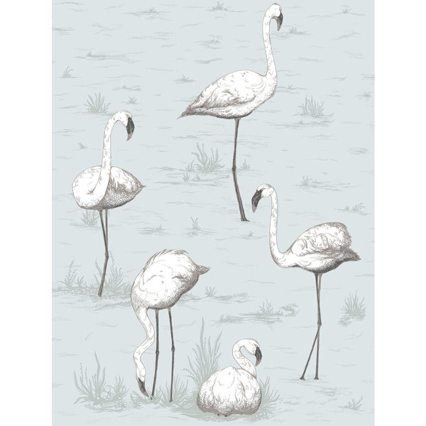 Flamingos - Charcoal/Aqua Green | Cole & Son