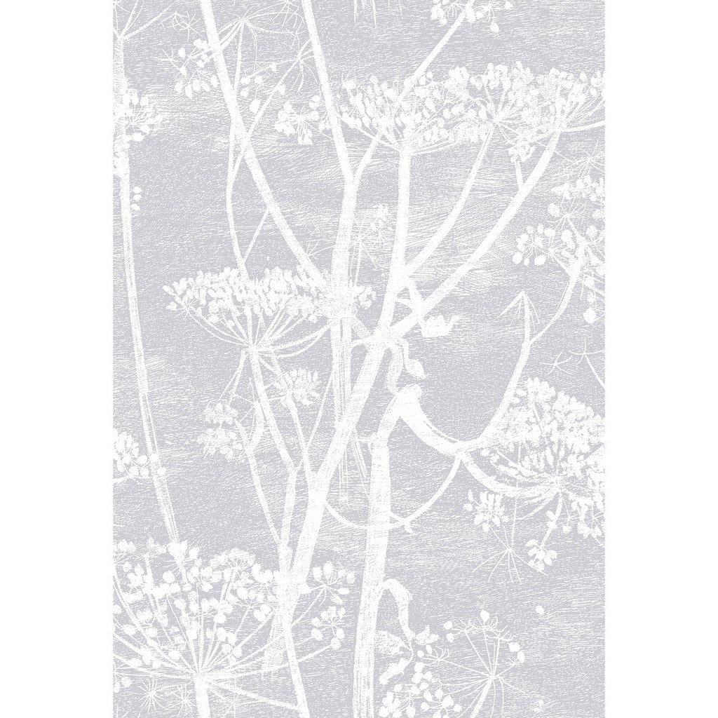 Cow Parsley - Lilac  By Cole & Son |  |Botanical & Floral  Wallcovering