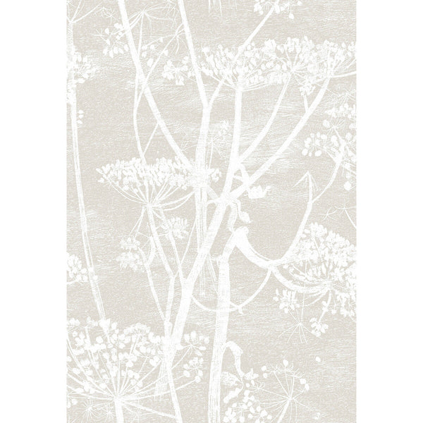Cow Parsley - Linen/White White By Cole & Son | Cole & Son Contemporary Restyled |Botanical & Floral  Wallcovering