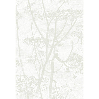 Cow Parsley - White | Cole & Son