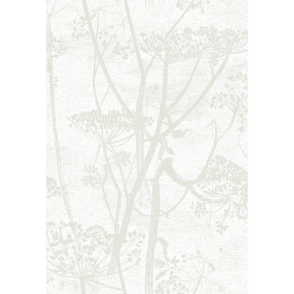 Cow Parsley - White | Cole & Son