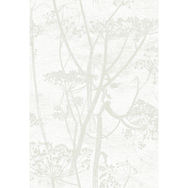 Cow Parsley - White White By Cole & Son | Cole & Son Contemporary Restyled |Botanical & Floral  Wallcovering