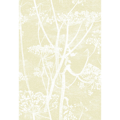 Cow Parsley - Straw/White Beige | Cole & Son
