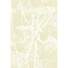 Cow Parsley - Straw/White Beige By Cole & Son | Cole & Son Contemporary Restyled |Botanical & Floral  Wallcovering