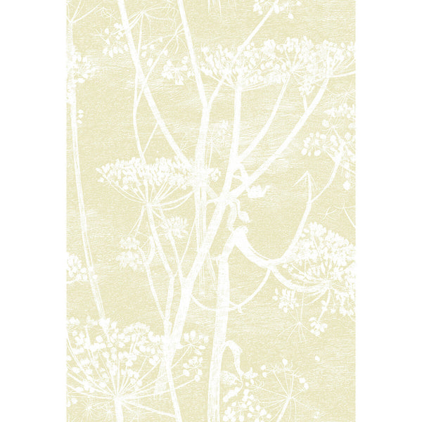 Cow Parsley - Straw/White Beige By Cole & Son | Cole & Son Contemporary Restyled |Botanical & Floral  Wallcovering